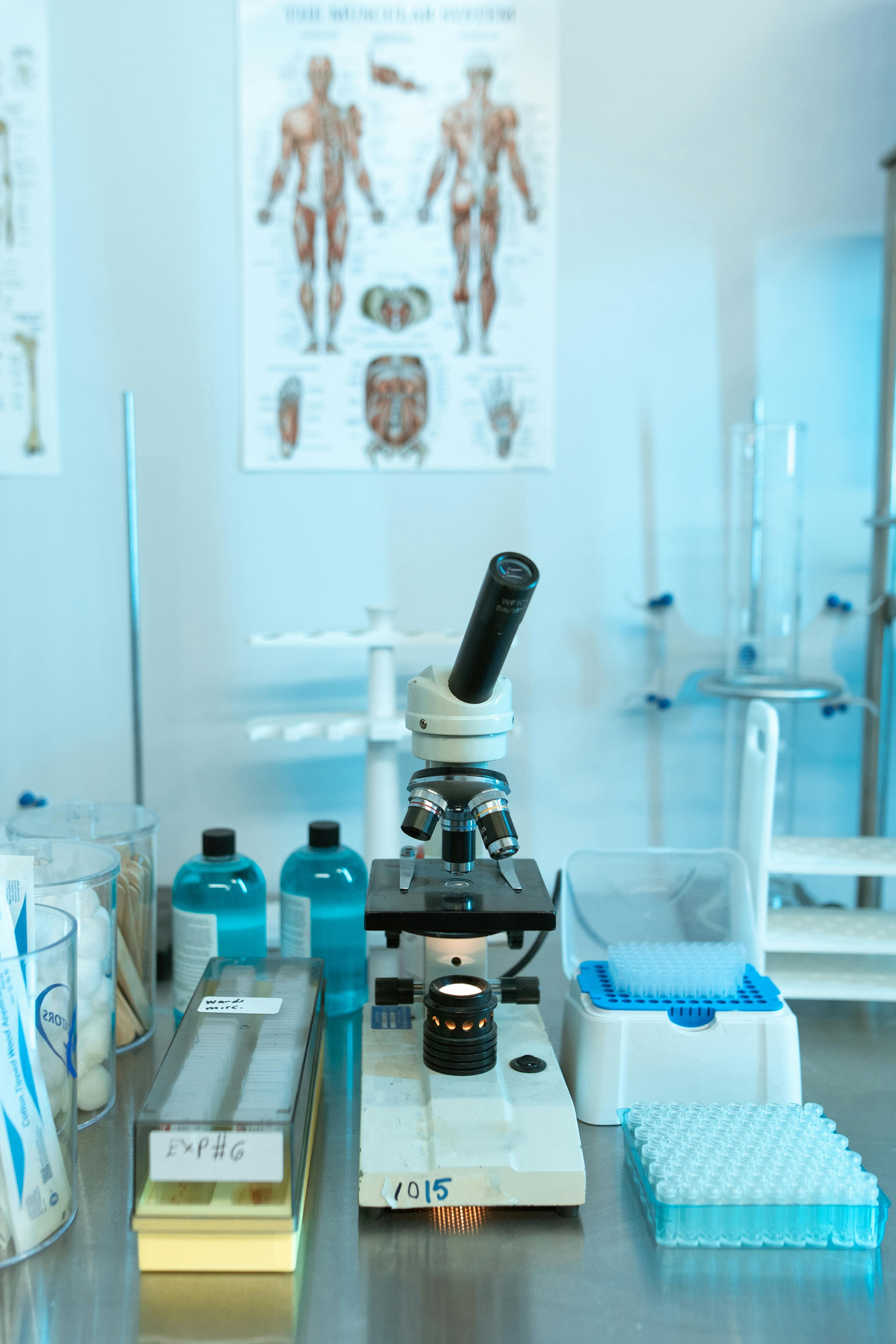 Scientist working in pharmaceutical lab